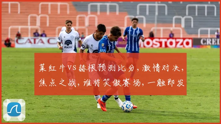 莱红牛vs赫根预测比分,激情对决,焦点之战,谁将笑傲赛场,一触即发